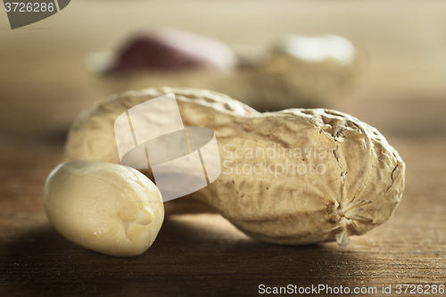 Image of Peanut on a table