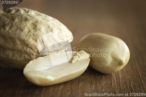 Image of Peanut on a table