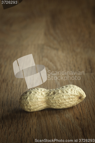 Image of Peanut on a table