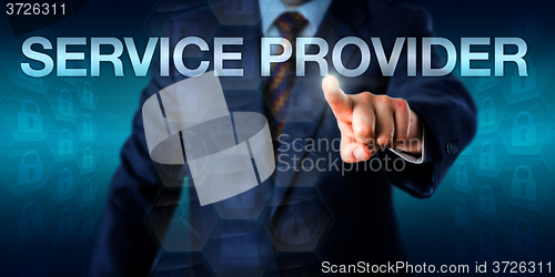 Image of IT Professional Touching SERVICE PROVIDER\r