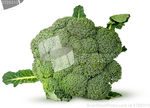 Image of Large inflorescences of fresh broccoli with leaves top view