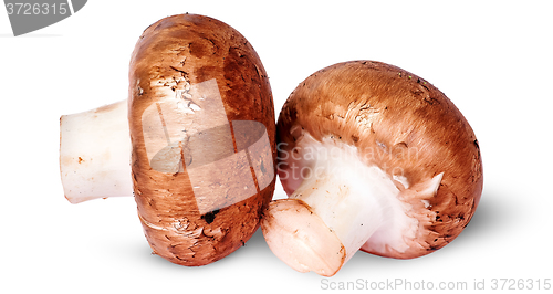 Image of Two fresh brown mushroom beside rotated
