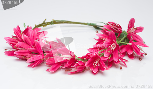 Image of tiara of artificial  roses on a light background