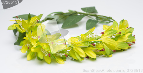 Image of tiara of artificial  roses on a light background