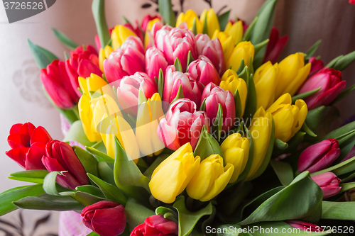 Image of red and yellow tulips 