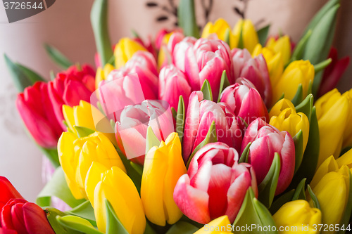 Image of red and yellow tulips 