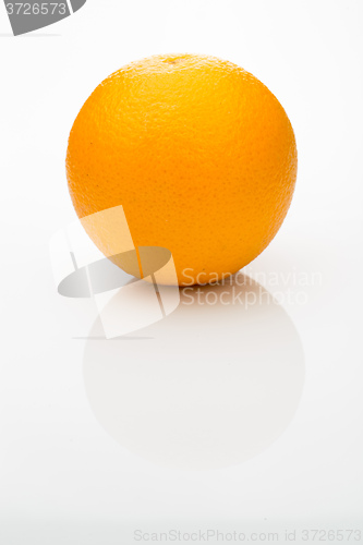 Image of Orange on a white background