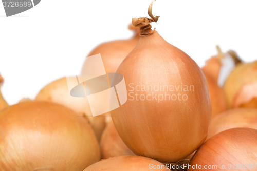 Image of Ripe onion on a white background