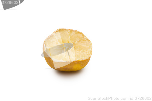 Image of Macro of a dried lemon slice