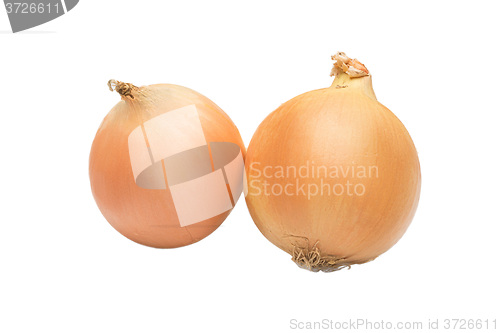 Image of Ripe onion on a white background