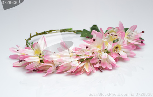 Image of tiara of artificial  roses on a light background