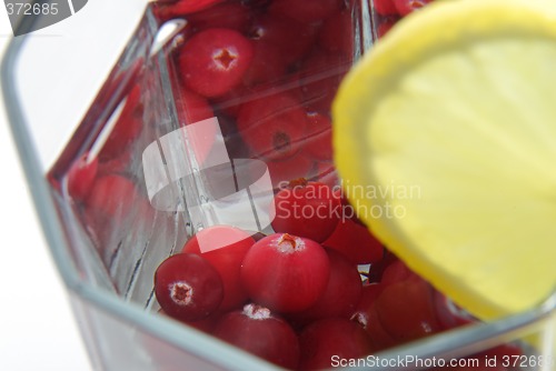 Image of Red cranberry in glass