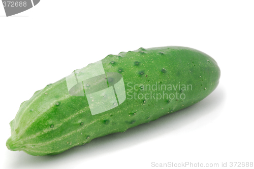 Image of Cucumber