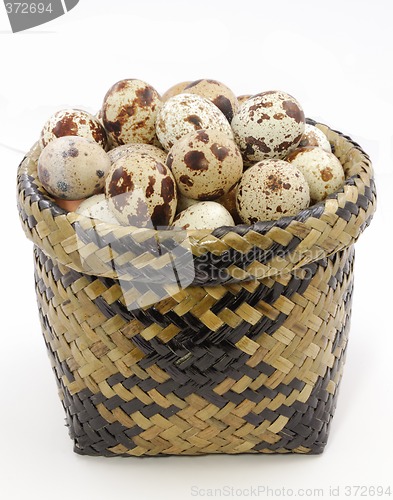 Image of The quail's eggs in basket