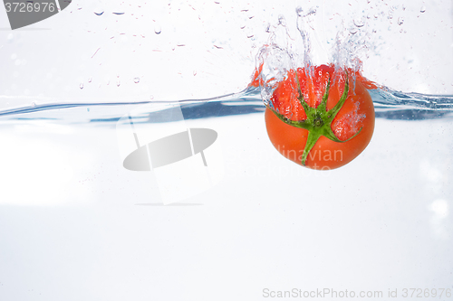 Image of red tomato dropped into blue water on white