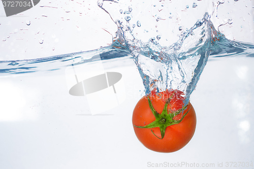 Image of red tomato dropped into blue water on white