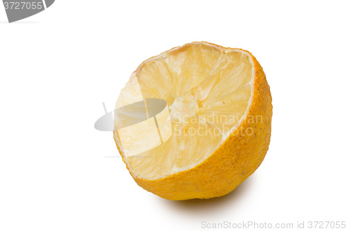 Image of Macro of a dried lemon slice