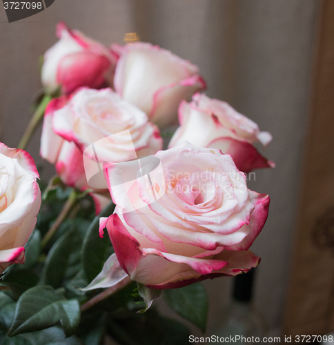 Image of Roses in vintage style