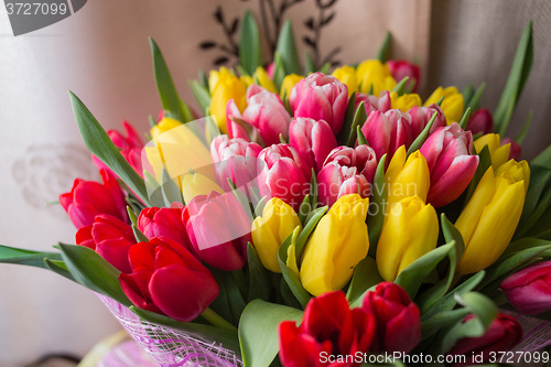 Image of red and yellow tulips 