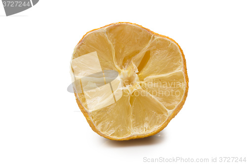 Image of Macro of a dried lemon slice