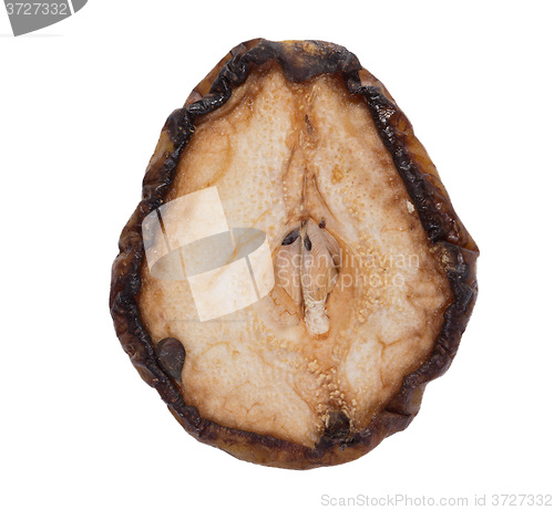 Image of rotten snow pear on white background