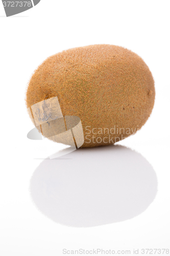 Image of Kiwi fruit isolated on white background