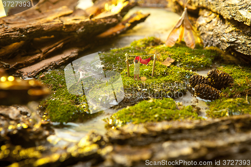 Image of Miniature people  on background of moss and bark