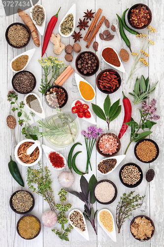 Image of Spices and Herbs