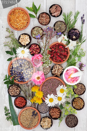 Image of Naturopathic Medicine