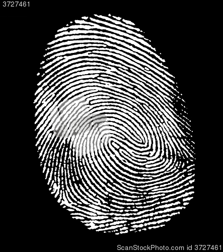 Image of white fingerprint