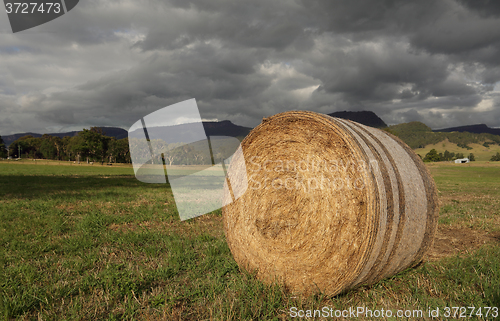 Image of Hay bale in late afternoon light