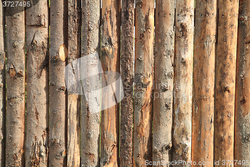 Image of bark wood texture