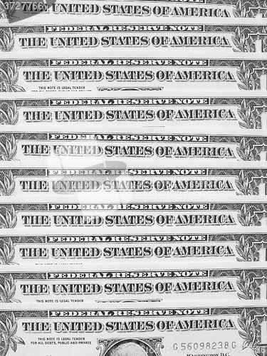 Image of Black and white Dollar notes 1 Dollar