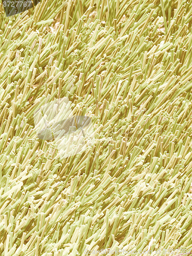 Image of  Artificial meadow vintage