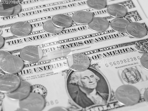 Image of Black and white Dollar coins and notes