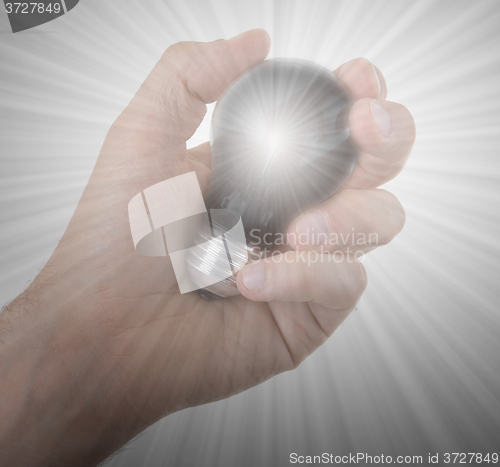 Image of Hand holding an light bulb 