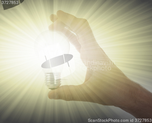 Image of Hand holding an light bulb 