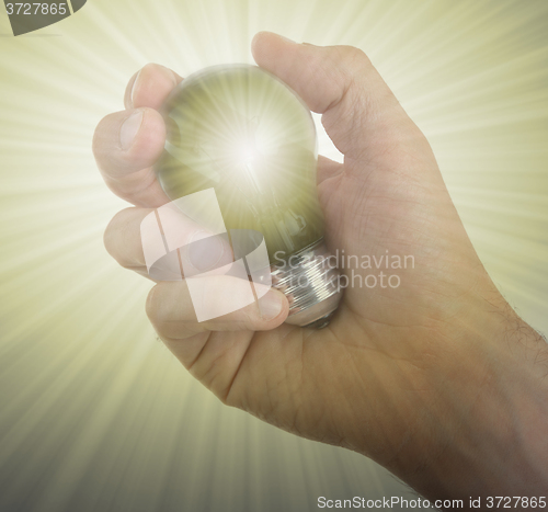 Image of Hand holding an light bulb 