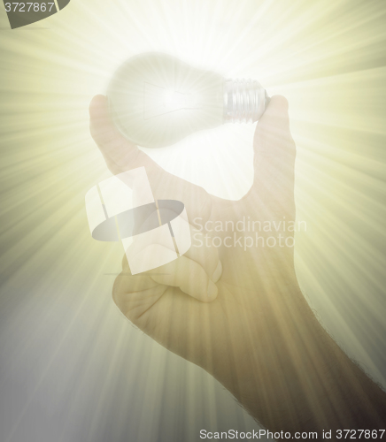 Image of Hand holding an light bulb 