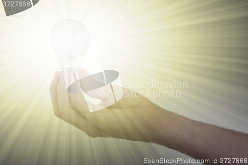 Image of Hand holding an light bulb 