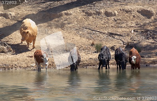 Image of getting a drink