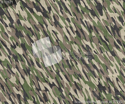 Image of camouflage cloth