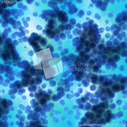 Image of lots of cells