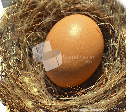 Image of Egg nest