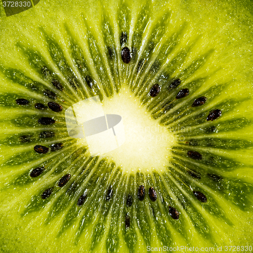 Image of Kiwifruit or Chinese gooseberry (detail)