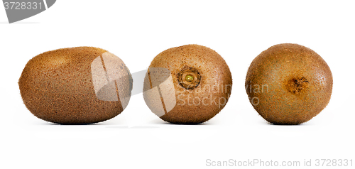 Image of Kiwifruit or Chinese gooseberry