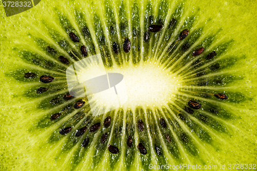 Image of Kiwifruit or Chinese gooseberry (detail)