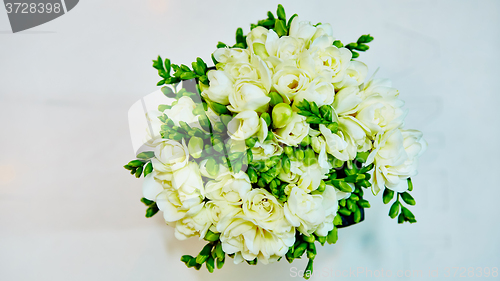 Image of white flowers of lilac