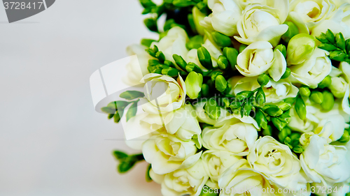 Image of white flowers of lilac