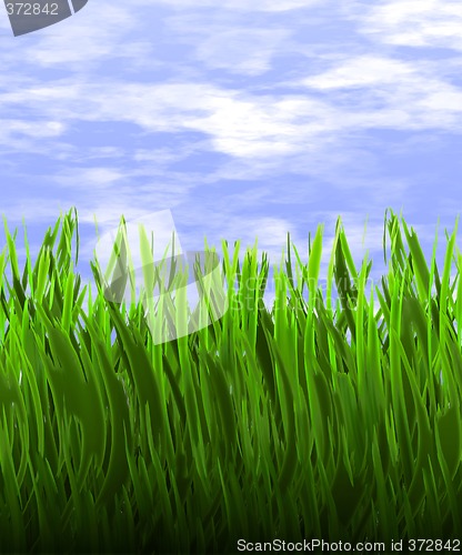 Image of green grass